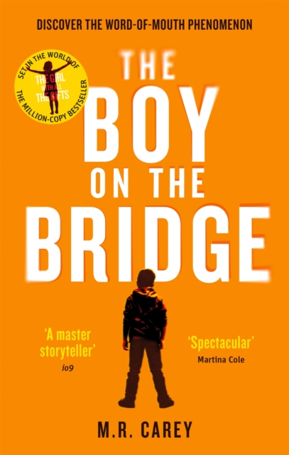 Boy on the Bridge